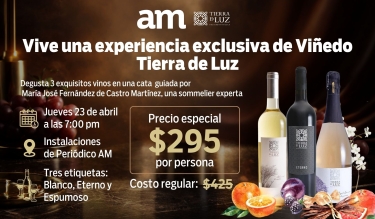 Cata Exclusiva Tierra de Luz: Una Experiencia Enológica de Alto Nivel 